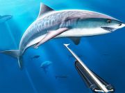 Spel Jakt under vattnet spearfishing på nätet