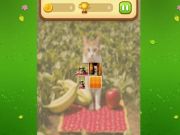 Spel Farm Cat Memory Match på nätet