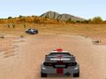 Spel 3D -rally  på nätet