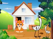 Spel Whisker fly på nätet