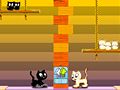 Spel Kocani katter pÄ nÀtet Spel Kocani katter pÄ nÀtet