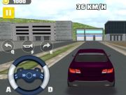 Spel Den långa körningen på nätet