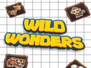 Spel Vilda underverk på nätet