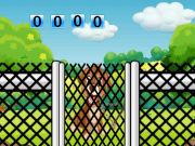 Spel Lås upp för woof på nätet