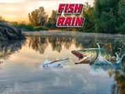 Spel Fisk Regn på nätet