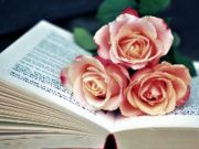 Spel Book of Blooms Jigsaw på nätet