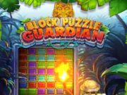 Spel Blockpusselskyddare på nätet