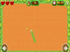 Spel Fruit Snake på nätet