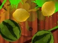 Spel Fruit Break på nätet