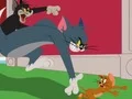 Spel Tom and Jerry: Chasing Jerry på nätet
