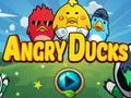 Spel Angry Ducks på nätet