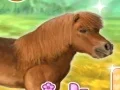Spel My Dear Pony på nätet