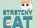 Spel Stretchy Cat på nätet