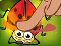 Spel Insect Cush på nätet