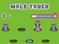 Spel Pole Touch på nätet