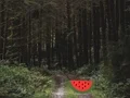 Spel Dense Forest Deer Escape på nätet