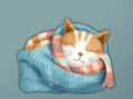 Spel Adorable Escape Find Cute Kitten på nätet