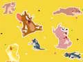 Spel The Tom and Jerry Show Find it! på nätet
