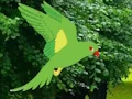 Spel Parrot Find The Nest på nätet