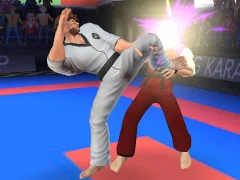 Spel Karate Fighter på nätet