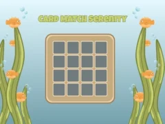 Spel Card Match Serenity på nätet