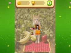 Spel Farm Cat Memory Match på nätet