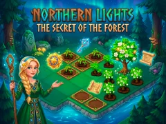 Spel Northern Lights - The Secret Of The Forest på nätet