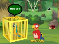 Spel Release Trapped Macaw Buddy på nätet