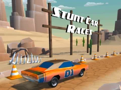 Spel Stunt car Races på nätet