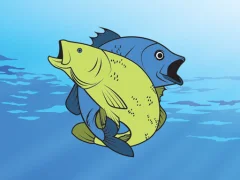 Spel Friendly Fish Coloring på nätet