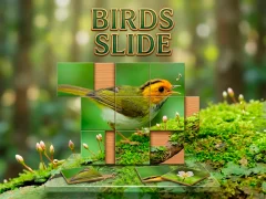 Spel Birds Slide på nätet