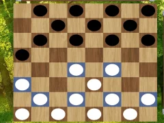 Spel Classic Checkers: Forest på nätet
