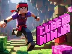 Spel Cube Ninja på nätet