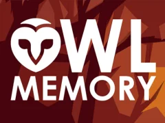 Spel Owl Memory på nätet