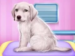 Spel Labrador at the doctor salon på nätet
