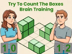 Spel Try To Count The Boxes Brain Training på nätet
