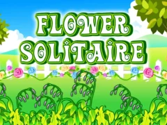 Spel Flower Solitaire på nätet