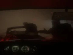Spel Spooky Jungle Safari på nätet