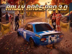 Spel Rally Race Pro 3 på nätet