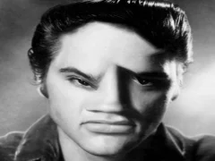Spel Elvis Funny Face på nätet