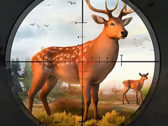Spel Wild Animal Hunting på nätet