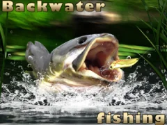 Spel Backwater Fishing på nätet