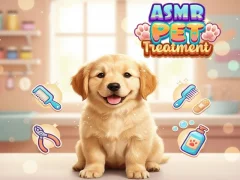 Spel Asmr Pet Treatment på nätet