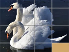 Spel Animals Slide Puzzle på nätet
