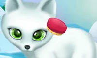 Spel Paws to Beauty Arctic Edition på nätet