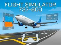 Spel Flight Simulator 737-800 på nätet