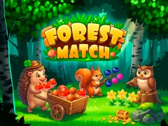 Spel Forest Match på nätet