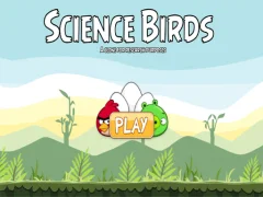 Spel Science Birds på nätet