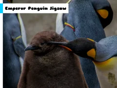 Spel Emperor Penguin Jigsaw på nätet