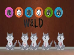 Spel wolf pup escape2 på nätet